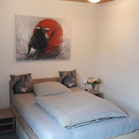 1 Zimmer Appartment Springe Exteriör bild